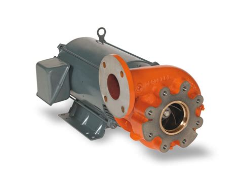 10hp centrifugal pump|berkeley 10 hp irrigation pump.